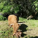 Entre Domes Et Sancy - Le Moderne * Perpezat