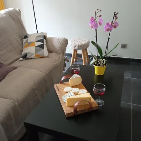 Entre Domes Et Sancy - Le Moderne Apartment Perpezat