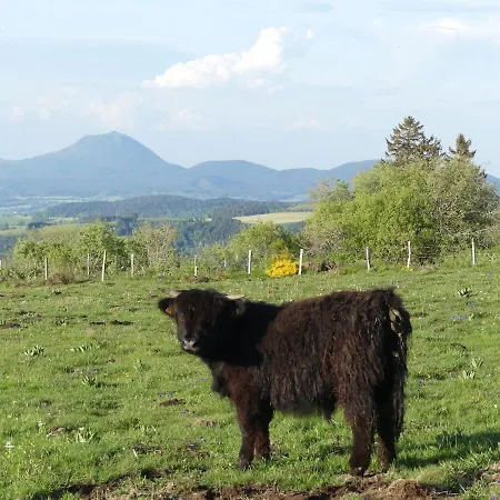 Entre Domes Et Sancy - Le Moderne Perpezat