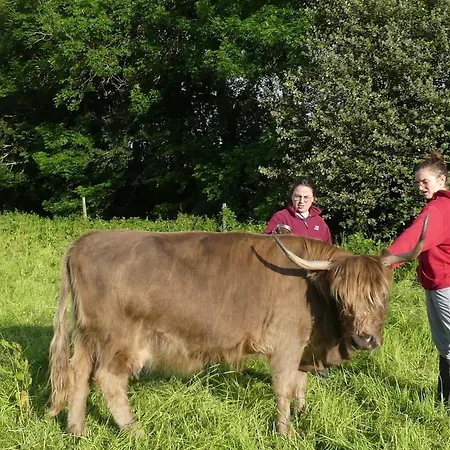 Entre Domes Et Sancy - Le Moderne Apartment