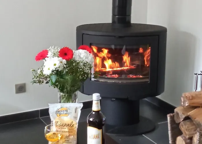 Entre Domes Et Sancy - Le Moderne Apartment Perpezat