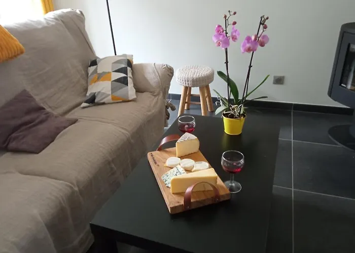 Entre Domes Et Sancy - Le Moderne Apartment Perpezat