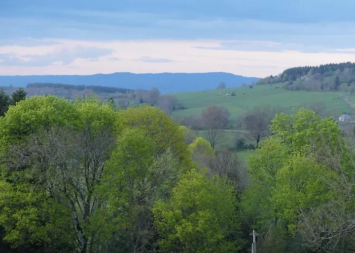 Entre Domes Et Sancy - Le Moderne Apartment Perpezat