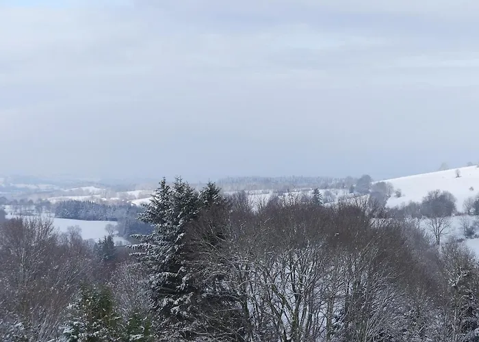 Entre Domes Et Sancy - Le Moderne Perpezat