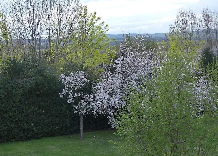 Entre Domes Et Sancy - Le Moderne * Perpezat