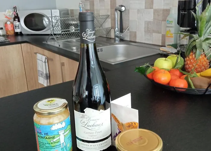 Entre Domes Et Sancy - Le Moderne Apartment *