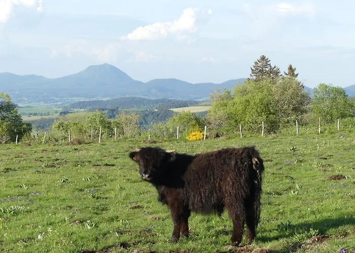 Entre Domes Et Sancy - Le Moderne Perpezat