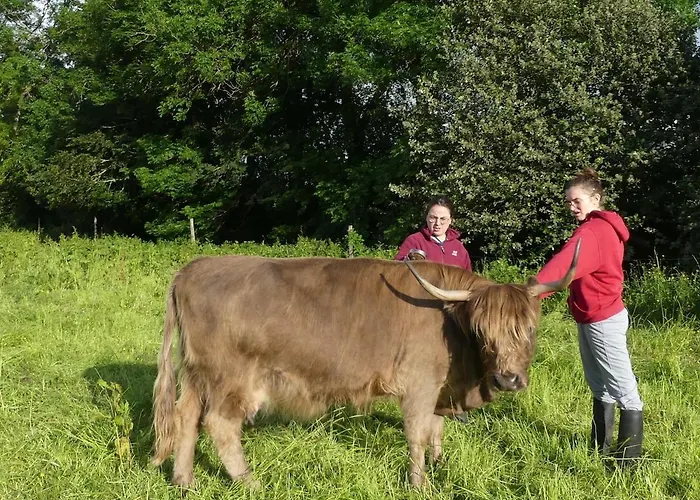 Entre Domes Et Sancy - Le Moderne Apartment