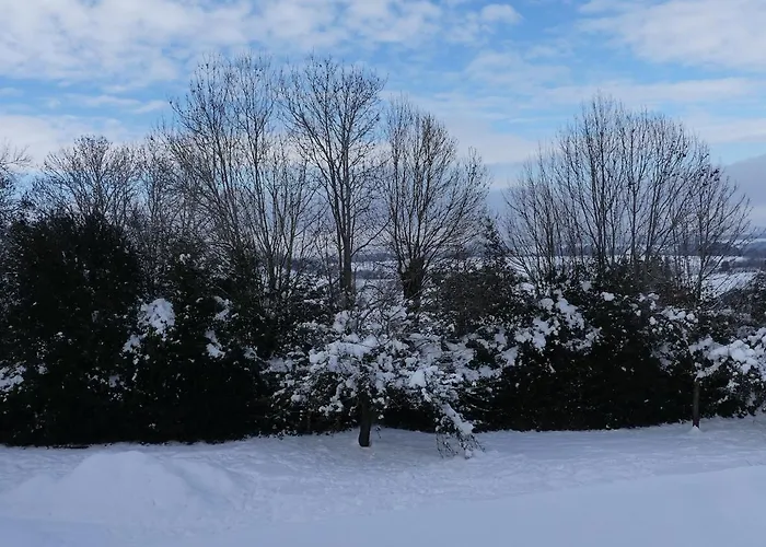 Entre Domes Et Sancy - Le Moderne *