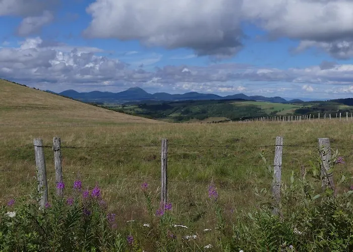 Apartment Entre Domes Et Sancy - Le Moderne