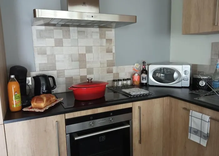 Apartment Entre Domes Et Sancy - Le Moderne *