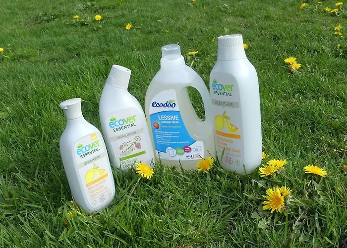 Apartment Entre Domes Et Sancy - Le Moderne